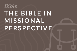 Foundation: The Bible in Missional Perspective