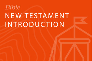 Seminary: New Testament Introduction