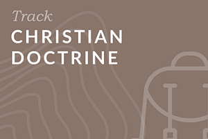Christian Doctrine Track Bundle